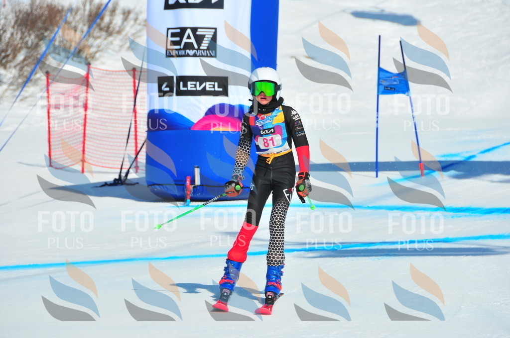 DSC_4400 | holidayphoto