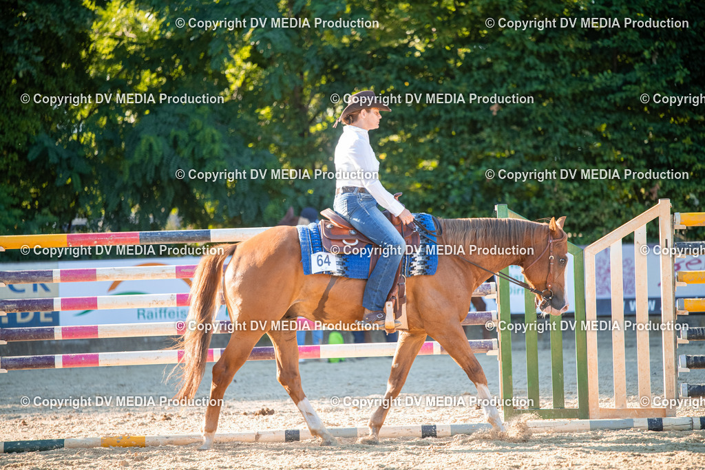 EWP_7198 | dv-media-shop - Realisiert mit Pictrs.com