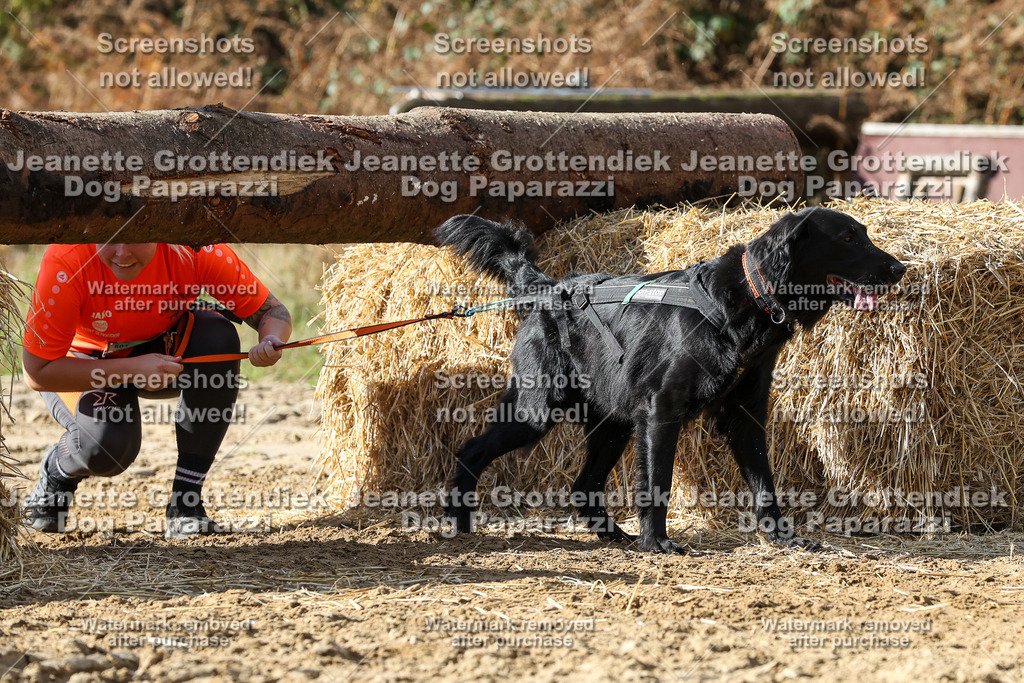 Dog Paparazzi - Strongdog 10-25-4949 | Dog Paparazzi Jeanette Grottendiek Fotografie & Videografie - Realisiert mit Pictrs.com