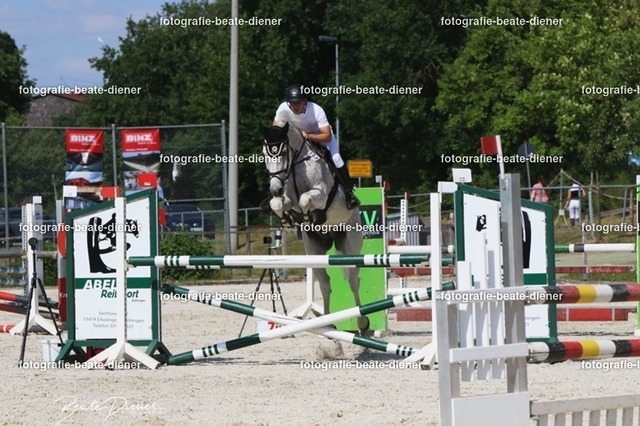 Zeit L (47) | Fotografie, Tiere, Hunde, Katzen, Pferde, Sportfotografie, Fotosession, Tierfotografie, Turnierfotografie, Fotografin, Fotograf - Realisiert mit Pictrs.com