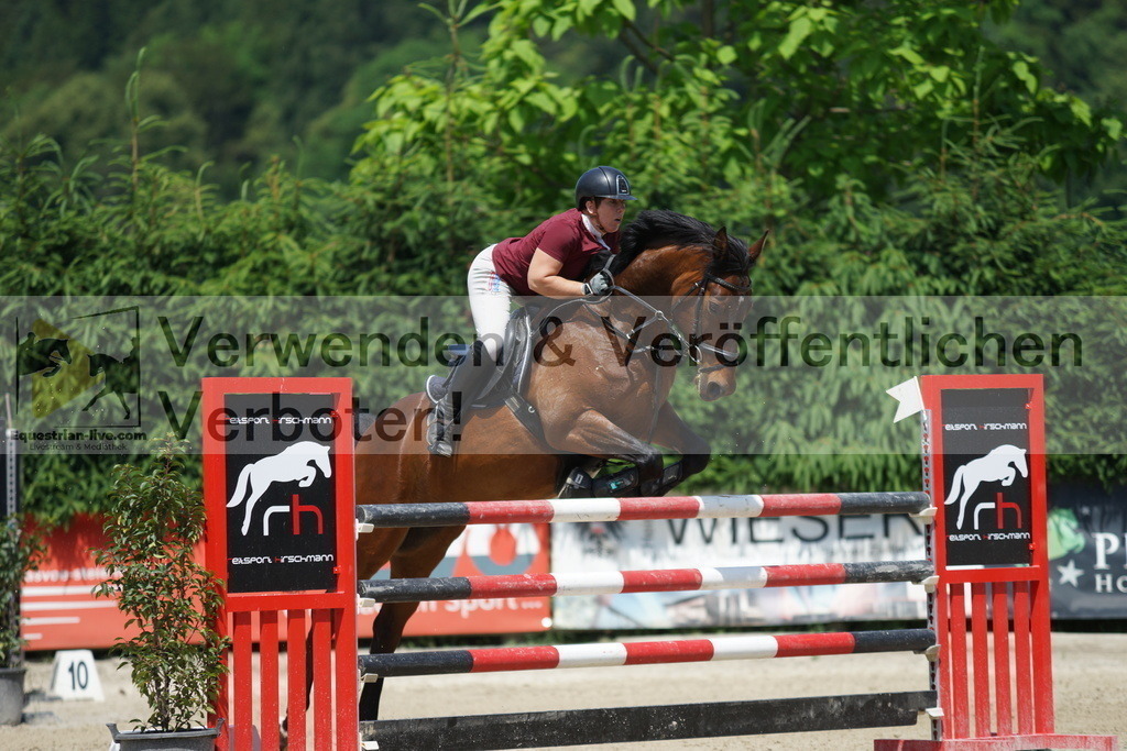 DSC00615 | equestrian-live-com
