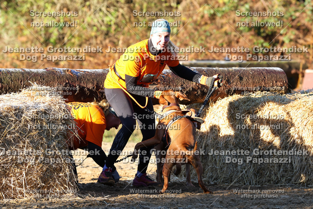 Dog Paparazzi - Strongdog 10-25-795 | Dog Paparazzi Jeanette Grottendiek Fotografie & Videografie - Realisiert mit Pictrs.com