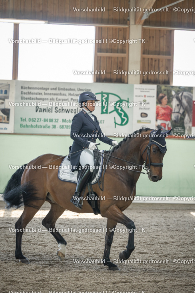 _D5A9298 | Emotionale Pferde- & People-Fotografie rund um Heidelberg, Leimen & Umgebung. Natürliche Fotos von Pferd, Mensch & Familie. Jetzt Termin sichern!