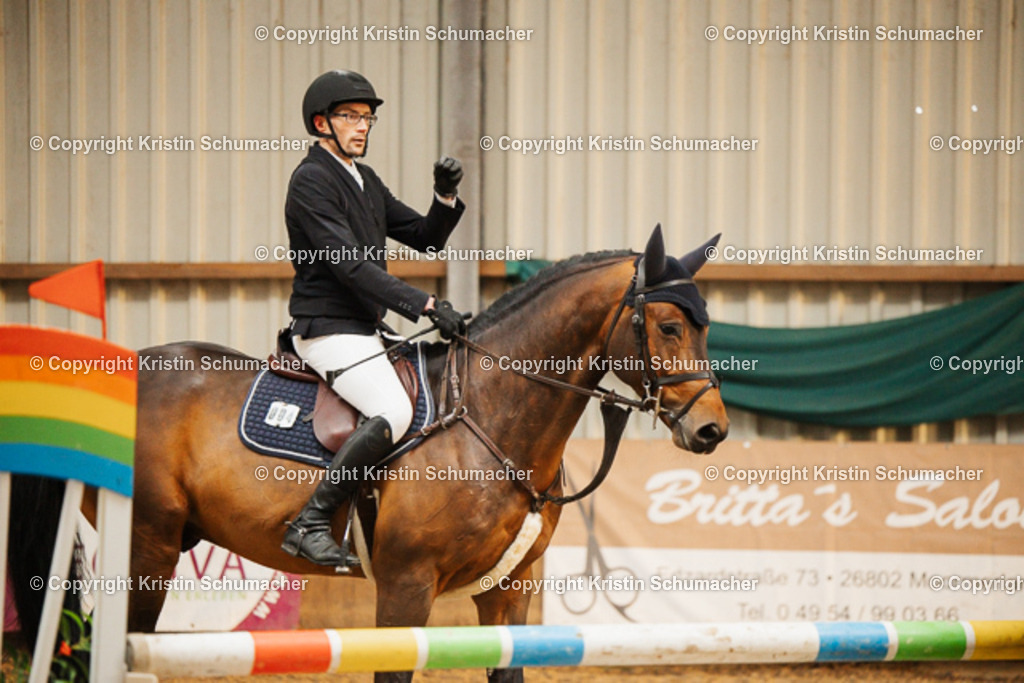 Springpferde A_-16 | Kristin Schumacher Photography