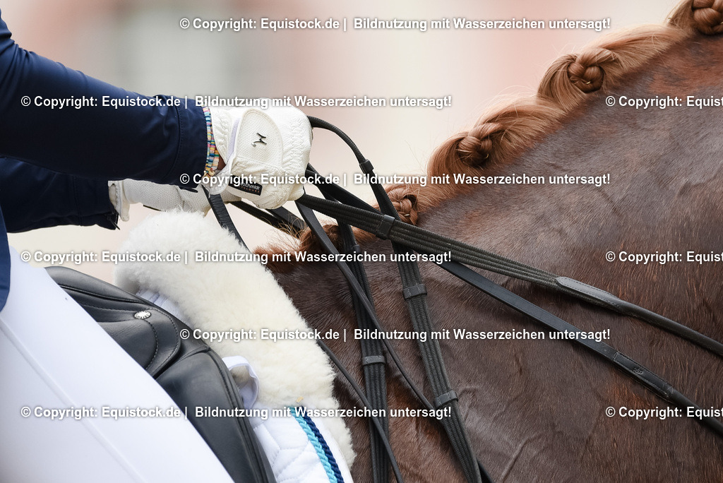20250608_03_GP-Special-Tour_0165 | Foto: Thomas Hartig