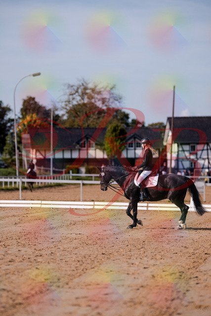 2026_10_03_Siefer-Hof_115444_Z81_94461588 | Professionelle Reitsport-, Turnier- und Eventfotografie von Robert Broda. Galerien mit ausgewählten und bearbeiteten Bildern direkt online ansehen und bestellen.