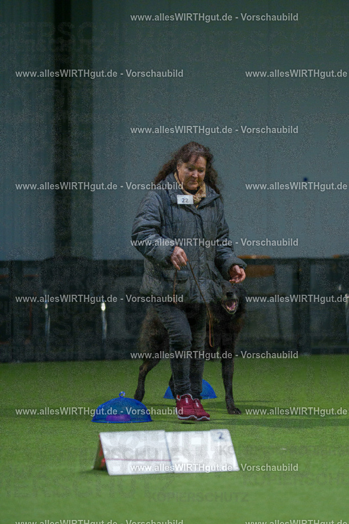 7R500032 | Professionelle Tierfotografie in Mönchengladbach von Daniel Wirth (allesWIRTHgut). Liebevolle & natürliche Bilder von Hunden & Katzen für unvergessliche Erinnerungen.