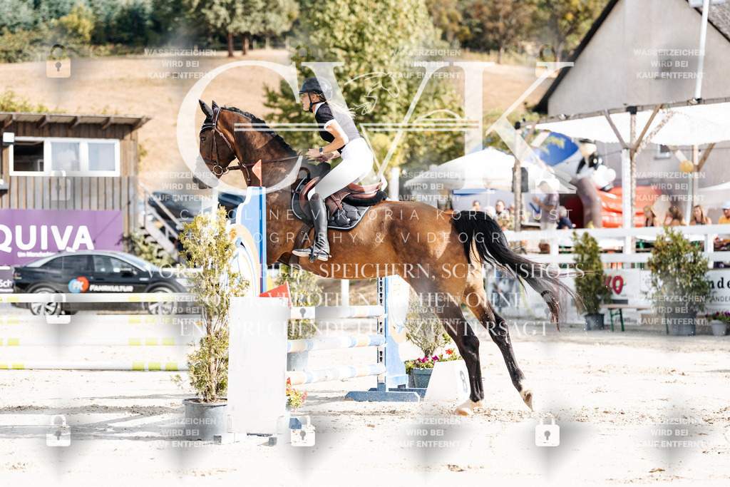CK909086 | Turnierfotografie Pferdefotografie Trier Rheinland-Pfalz Pferdesport Reitsport Tierfotografie Sportfotografie Pferdevideo Pferdevideografie Equestrianvideography equestrianphotography  - Realisiert mit Pictrs.com