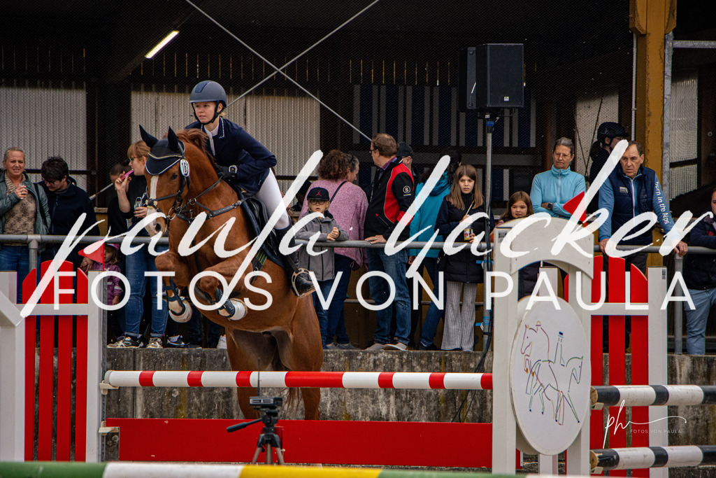 IMG_4003 | Erleben Sie dynamische Sport- und emotionale Tierfotografie in Süddeutschland mit Fotos von Paula. Spezialisiert auf Pferde- und Hundefotografie sowie Sportevents. Kontaktieren Sie mich für einzigartige und ausdrucksstarke Bilder Ihrer besonderen Momente. - Realisiert mit Pictrs.com