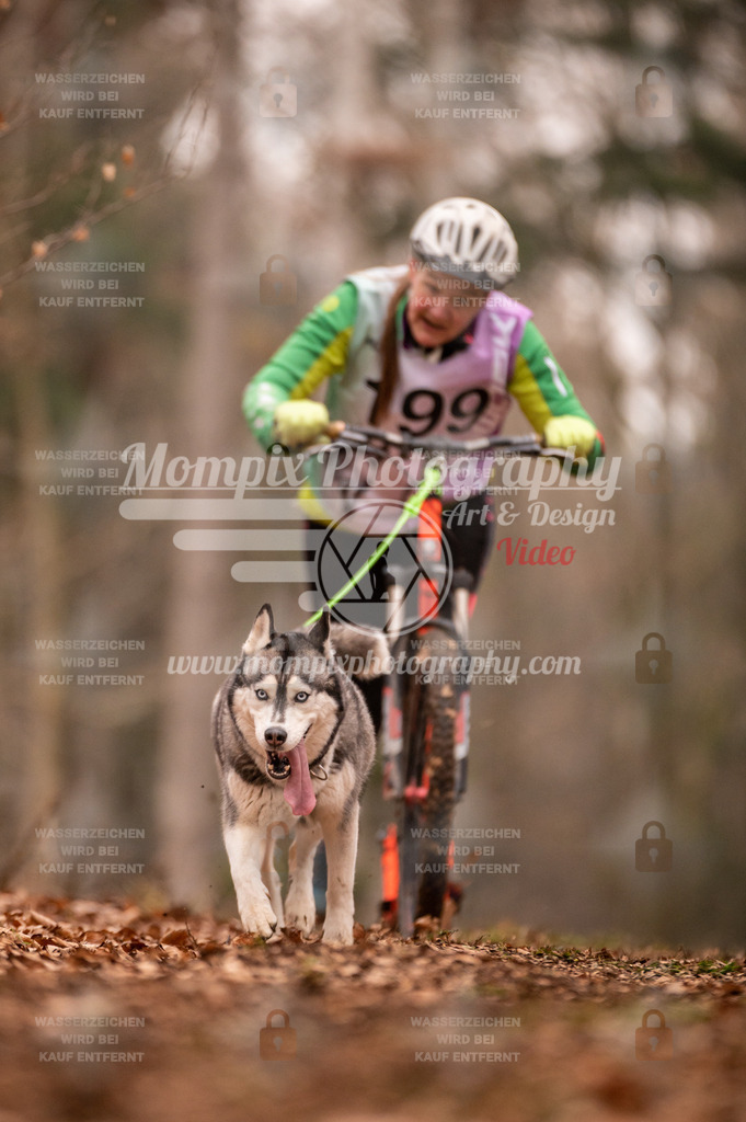 AKM_ST_2023_SAM_Scooter-91 | PayLife