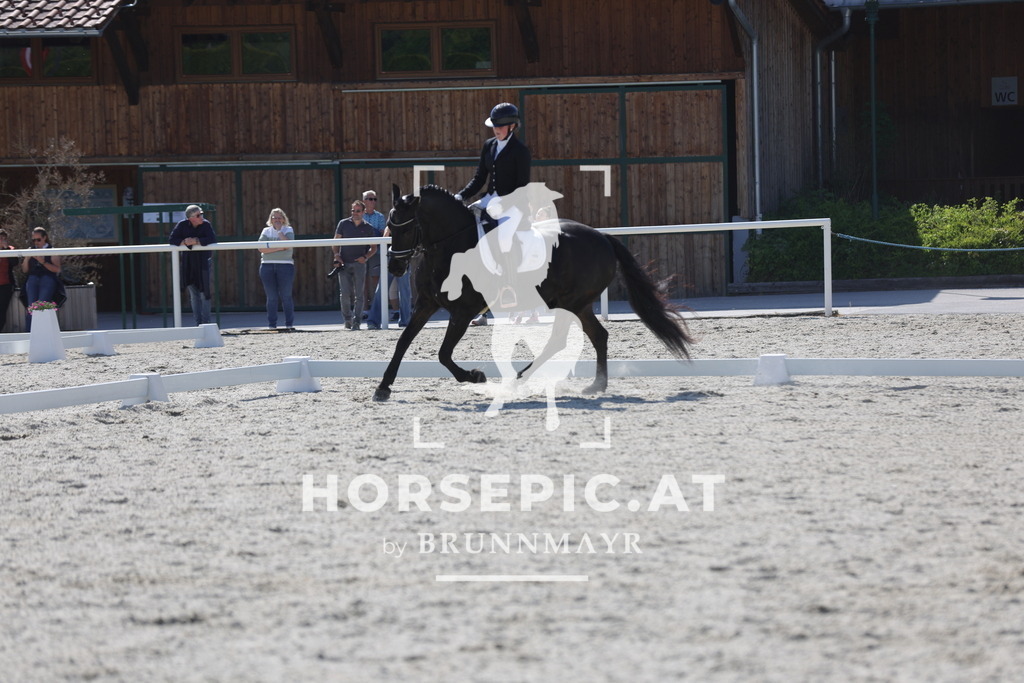 0P6A2864 | Willkommen bei Brunnmayr - Design & Fotografie – Ihrem Spezialisten für Reitturniere und Pferdeveranstaltungen in Oberösterreich, Salzburg und Bayern! Seit über 17 Jahren sind wir leidenschaftlich dabei.