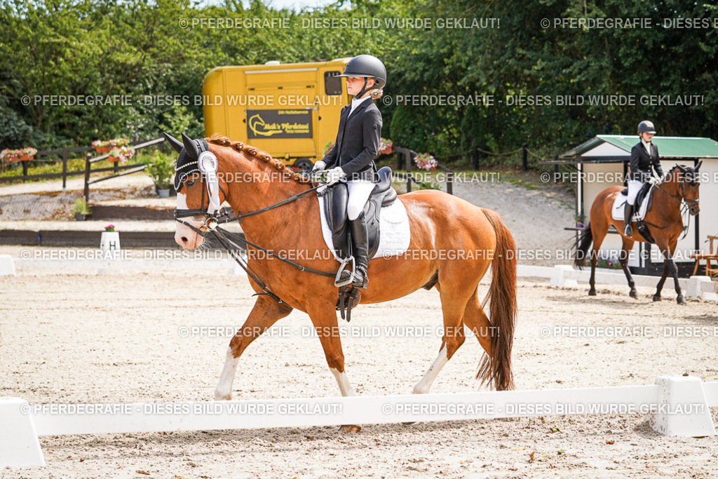 DSC02671 | Pferdegrafie