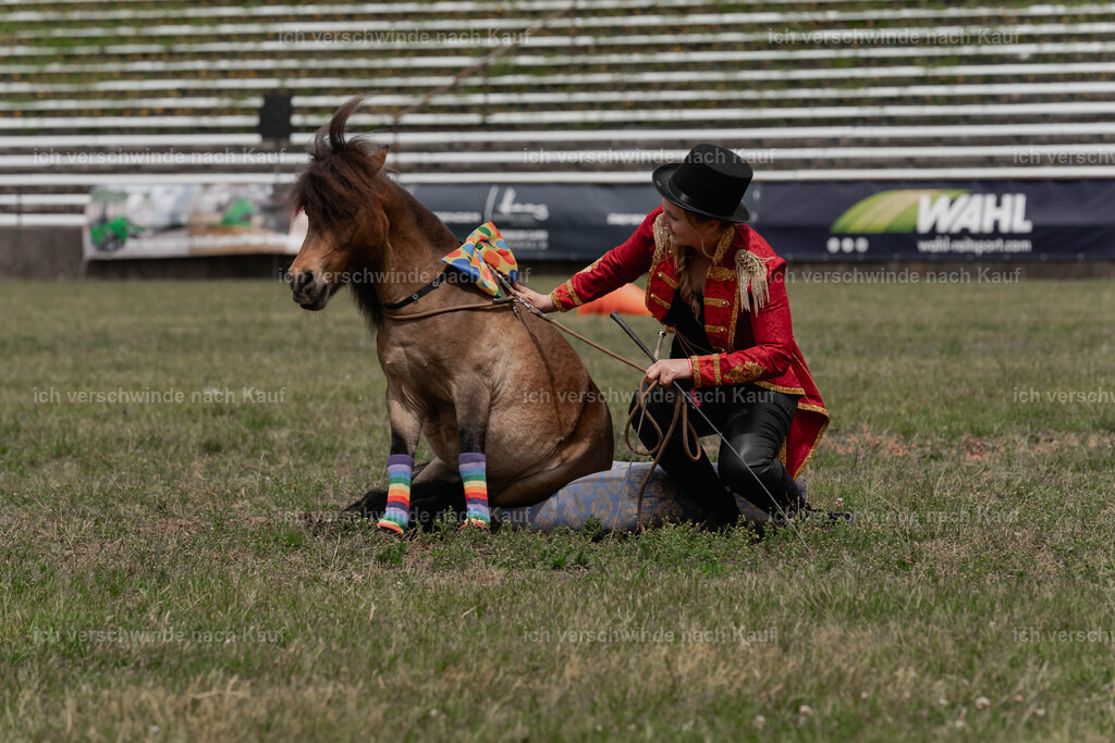 Showprogramm-248 | working equitationturnier fotograf videograf stoibphotography marixx film working equitation deutschland reitsport turnierfotografie eventfotografie equestrian events