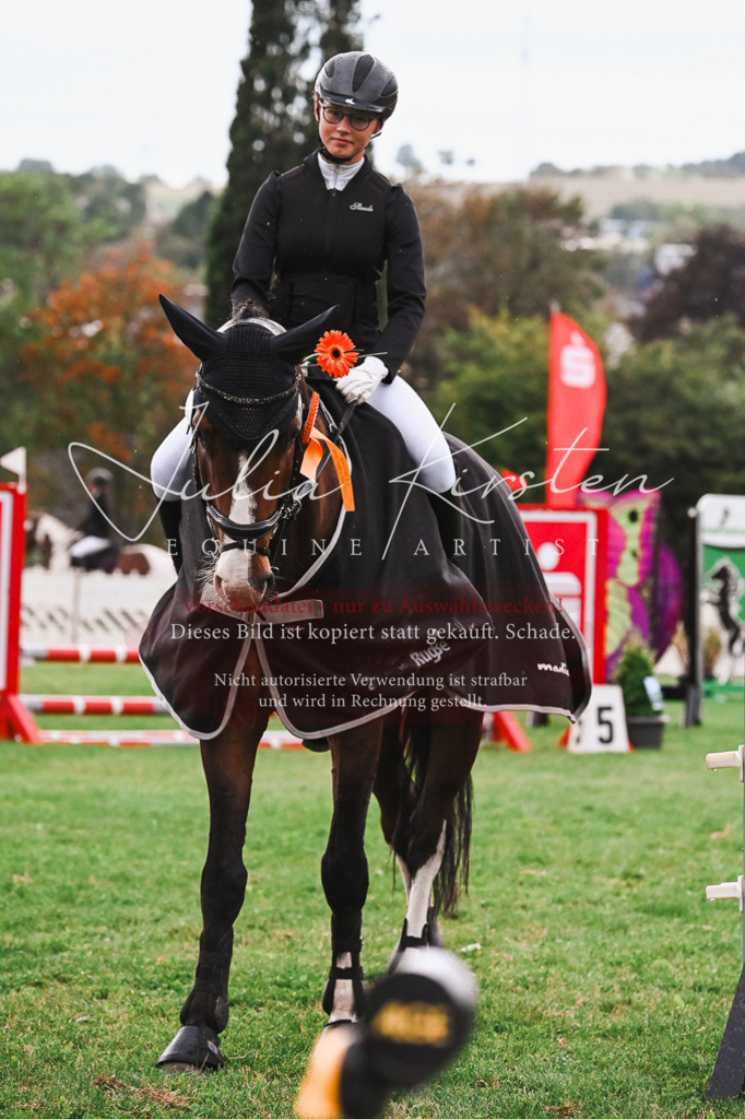 DSC_6226 | Pferde- und Turnierfotografie in Westsachsen. Pferdeportraits, Auftragszeichnungen und intuitive Kunst.