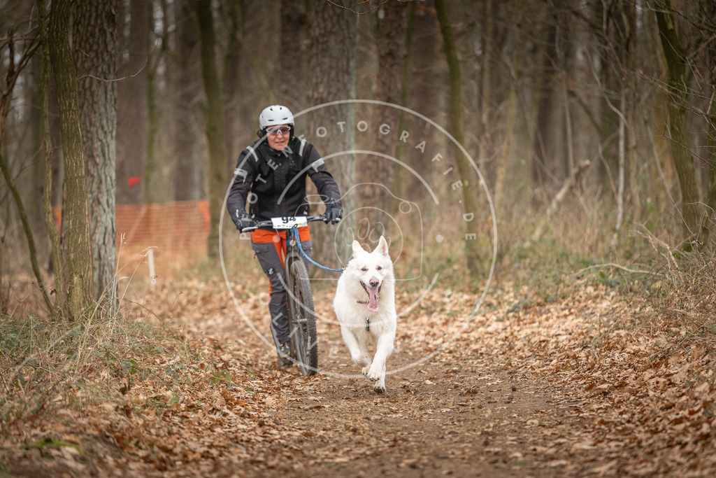 Pfotenfotografie_DV3A7215 | Hundefotografie, Tierfotograf, Pfotenfotografie, Fotoshooting Hund, Hunde Portrait, Hundesport, Hundeportraits, Heideshooting, Hunde, Sportfotograf, Hundefotograf, Turnierhundsport, THS,  - Realisiert mit Pictrs.com