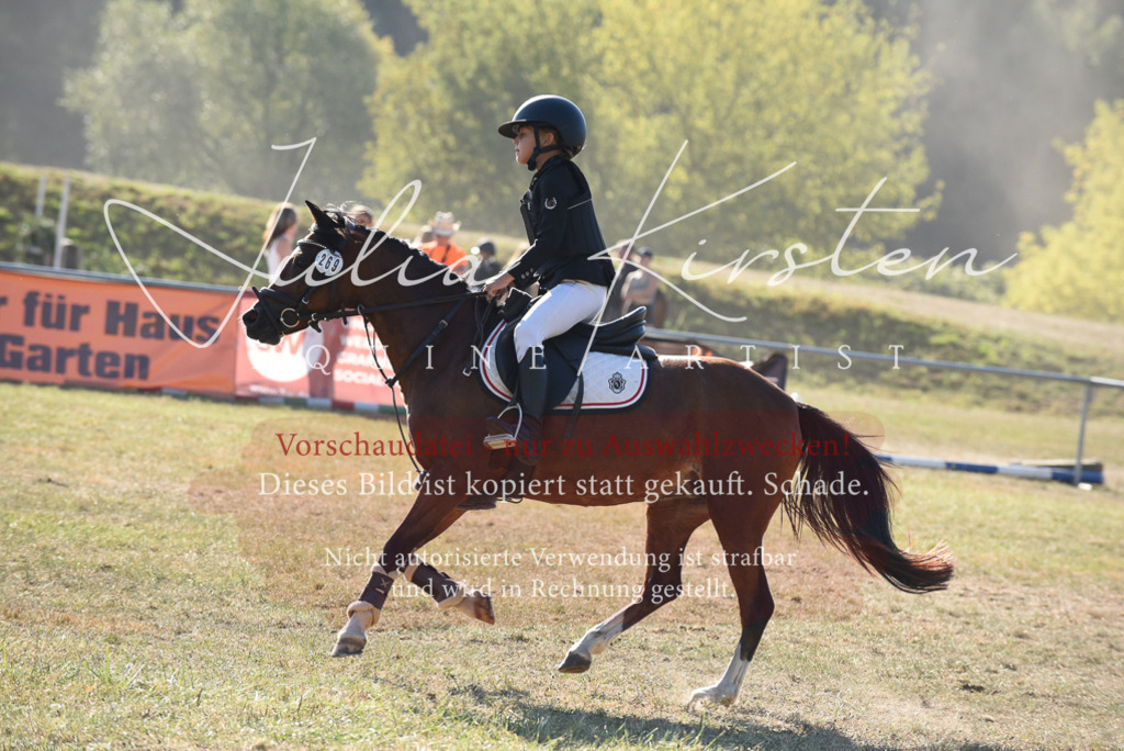 DSC_5766 | Pferde- und Turnierfotografie in Westsachsen. Pferdeportraits, Auftragszeichnungen und intuitive Kunst.