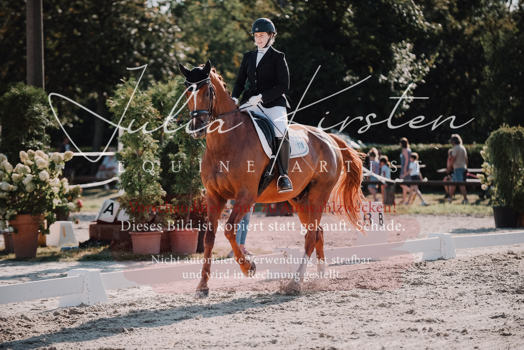 DSC_0452 | Pferde- und Turnierfotografie in Westsachsen. Pferdeportraits, Auftragszeichnungen und intuitive Kunst.