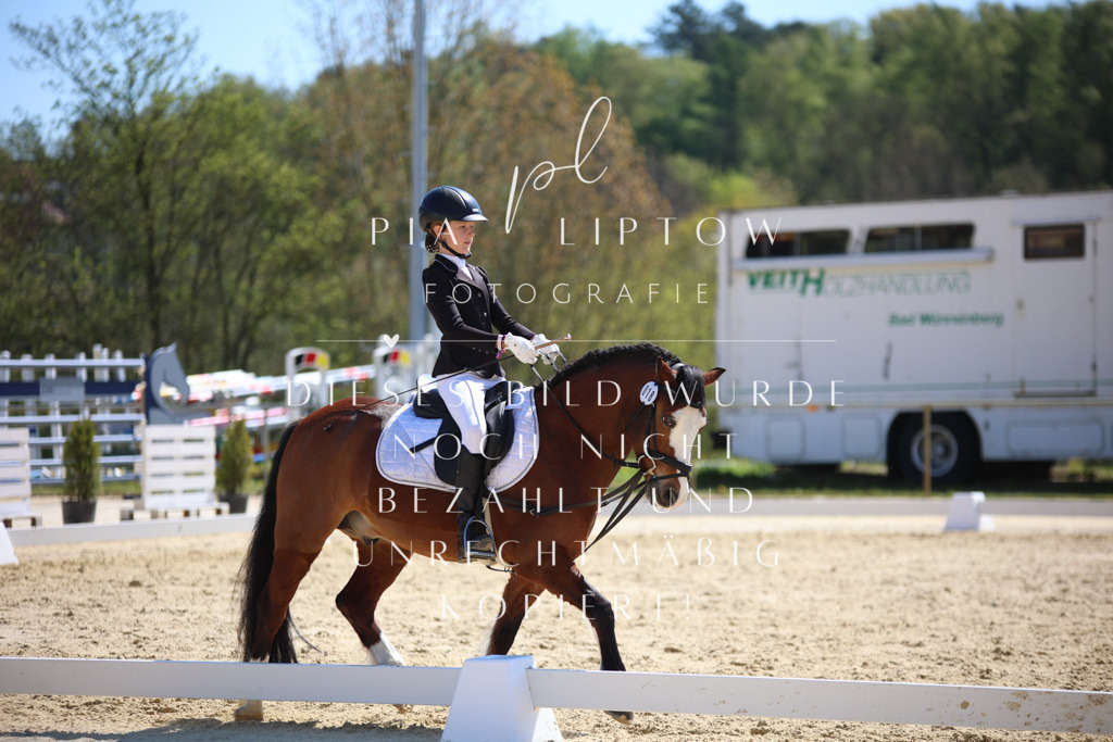 IMGT0469 | pl-fotografie