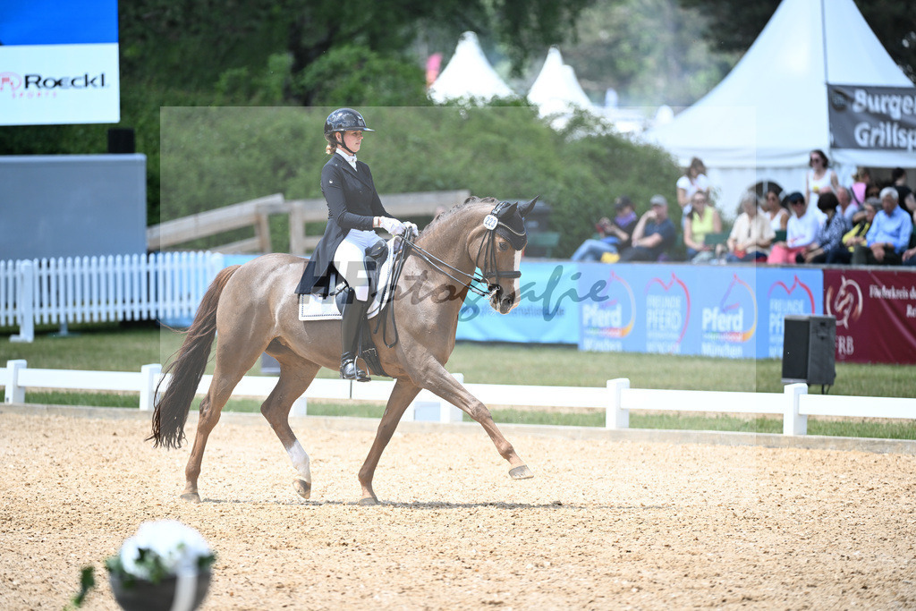 Winklmeier_Miss Maj_11252696 | hf-fotografie - Realisiert mit Pictrs.com