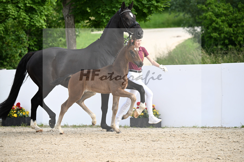 Escaneno x San Amour I_HF_Ederle_13250152 | hf-fotografie - Realizzato con Pictrs.com