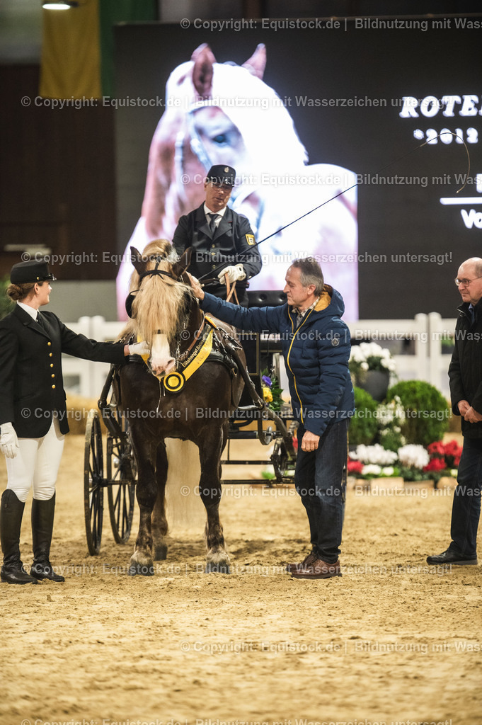 20240302_Hengstvorstellung_Marbach_TOMsPiC_0660 | equistock