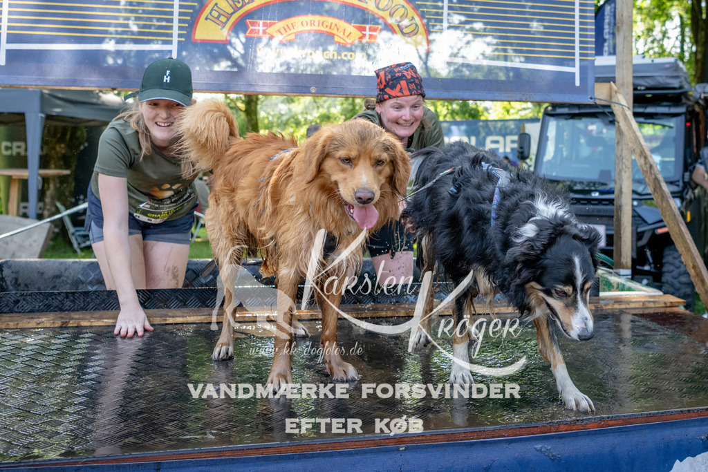 1540_ZZ92586 | kk-dogfotos