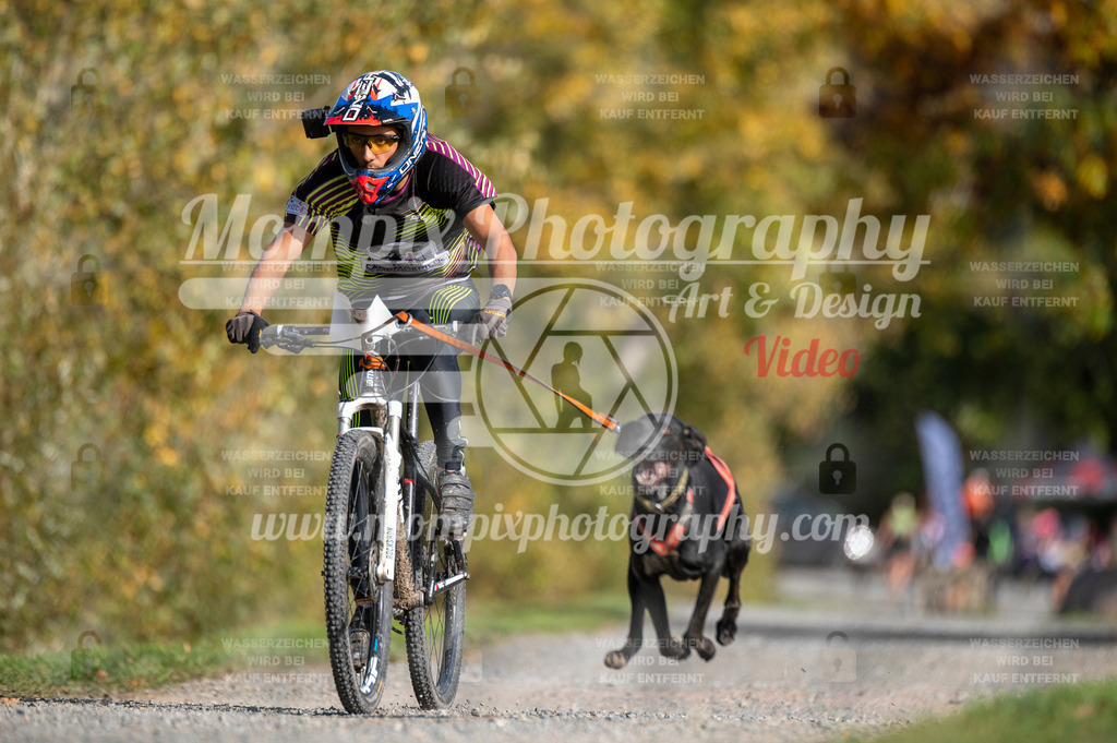 TSB_2023_E2_Bike-19 | PayLife