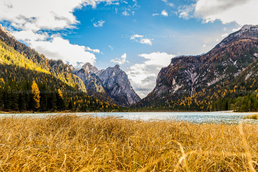 Fotos_Copyright_Chri_Fischbacher_Druck-286 | Bildershop Chri Fischbacher - Realisiert mit Pictrs.com