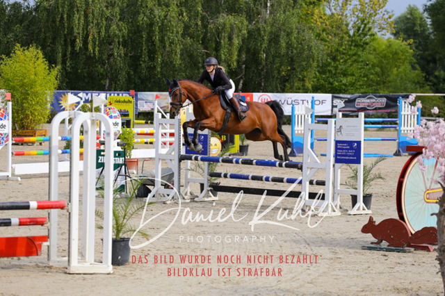 Gut Blee25_Amateuer Stilsprpfg Kl A_0074 | Turniersportfotografie; Pferdefotografie; Dressurfotografie