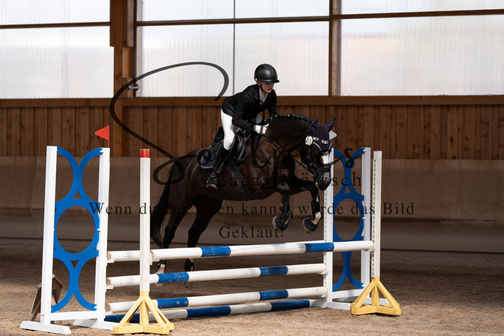 A7507586 | Pferdefotograf