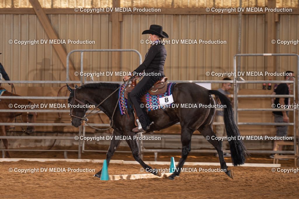 NID00940 | dv-media-shop - Realisiert mit Pictrs.com