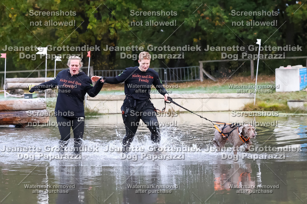 Dog Paparazzi - Strongdog 10-25-6144 | Dog Paparazzi Jeanette Grottendiek Fotografie & Videografie - Realisiert mit Pictrs.com