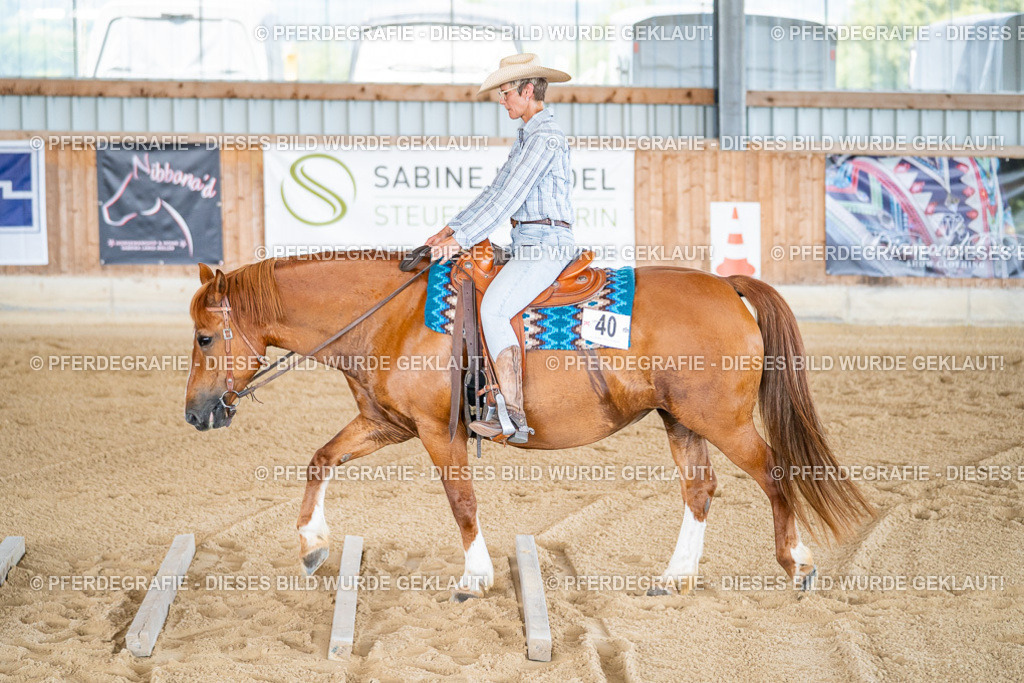 DSC02390 | Pferdegrafie