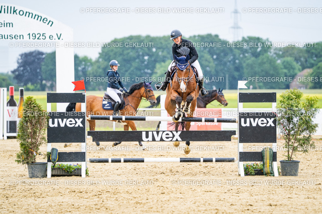 DSC07394 | Pferdegrafie