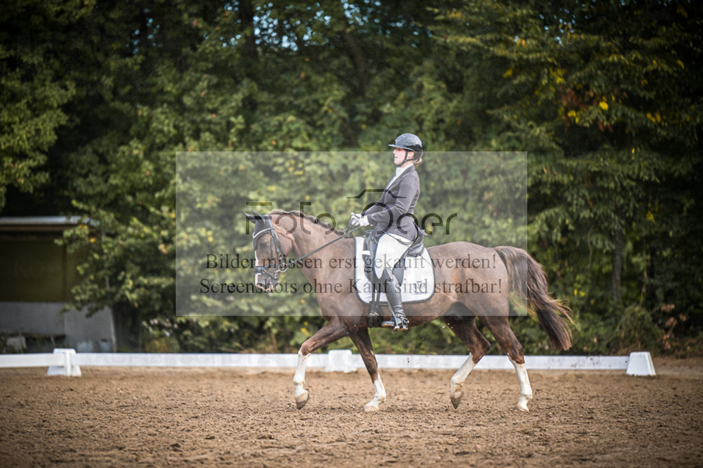 DOS_1947 | Entdecke hochwertige Reitturnierfotos von Foto Oger. Professionell, emotional und authentisch – jetzt Lieblingsmomente im Shop bestellen.Deutschlandweite Turnierfotografie. - Realisiert mit Pictrs.com