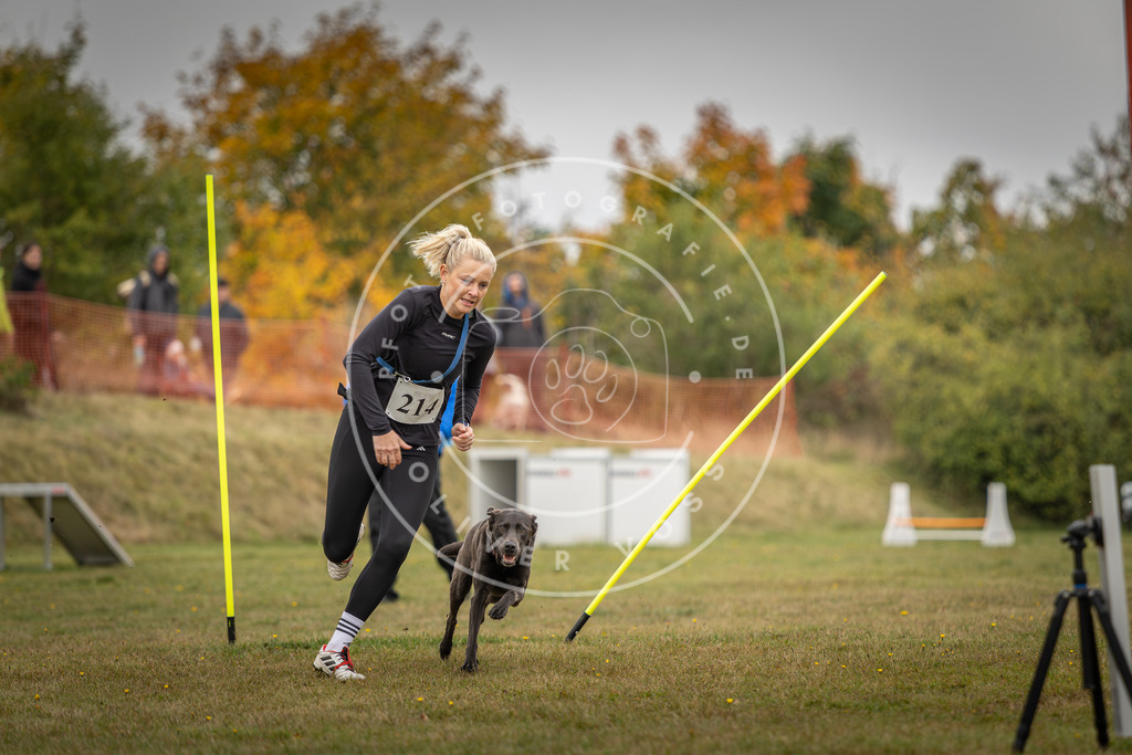 Pfotenfotografie_DV3A3441 | Hundefotografie, Tierfotograf, Pfotenfotografie, Fotoshooting Hund, Hunde Portrait, Hundesport, Hundeportraits, Heideshooting, Hunde, Sportfotograf, Hundefotograf, Turnierhundsport, THS,  - Realisiert mit Pictrs.com