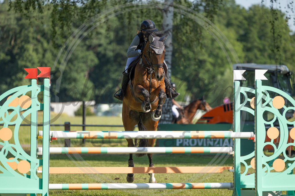 994A4085 | sabrinanicolaifotografie - Realisiert mit Pictrs.com