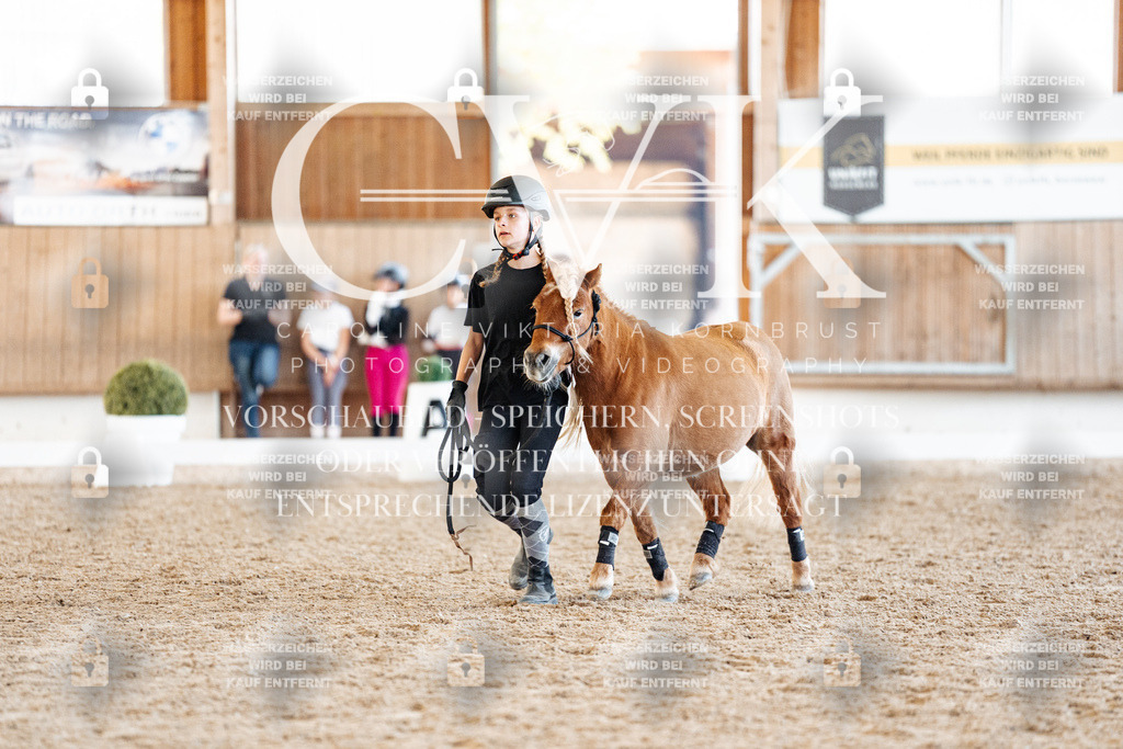 CK906969 | Turnierfotografie Pferdefotografie Trier Rheinland-Pfalz Pferdesport Reitsport Tierfotografie Sportfotografie Pferdevideo Pferdevideografie Equestrianvideography equestrianphotography  - Realisiert mit Pictrs.com