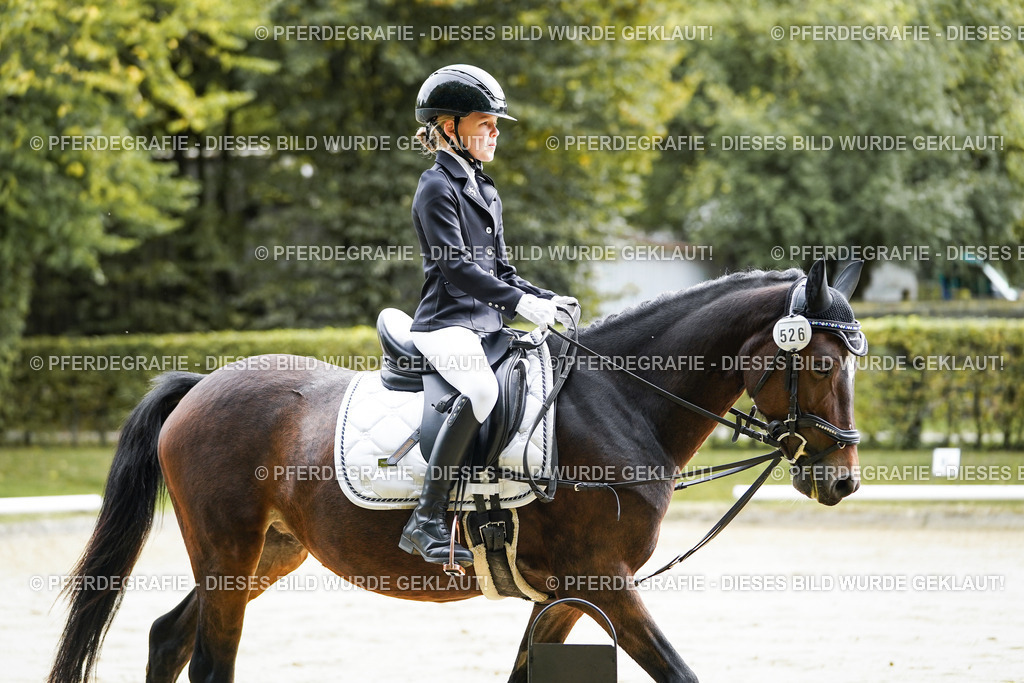 DSC05112 | Pferdegrafie