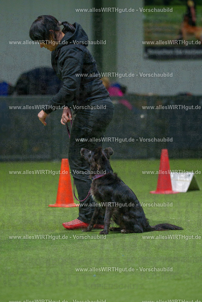 7R505740 | Professionelle Tierfotografie in Mönchengladbach von Daniel Wirth (allesWIRTHgut). Liebevolle & natürliche Bilder von Hunden & Katzen für unvergessliche Erinnerungen.