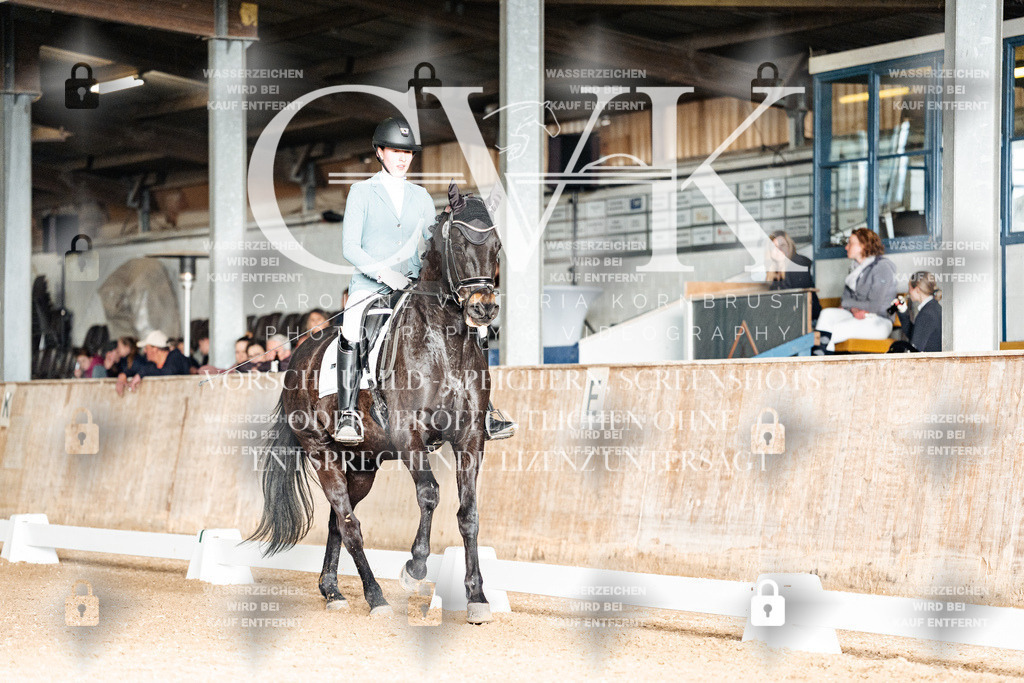 CK903226 | Turnierfotografie Pferdefotografie Trier Rheinland-Pfalz Pferdesport Reitsport Tierfotografie Sportfotografie Pferdevideo Pferdevideografie Equestrianvideography equestrianphotography  - Realisiert mit Pictrs.com