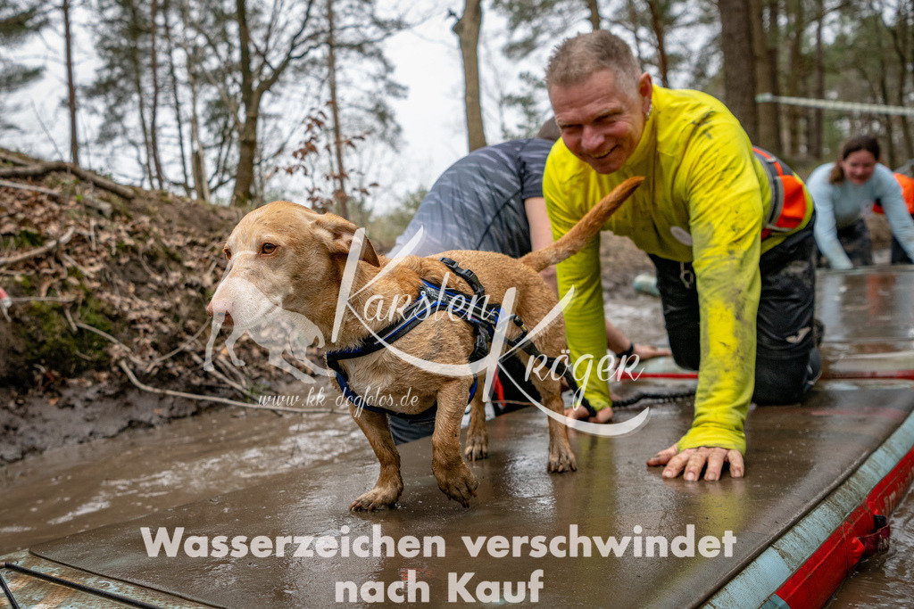 1245DSC_8071-2 | kk-dogfotos