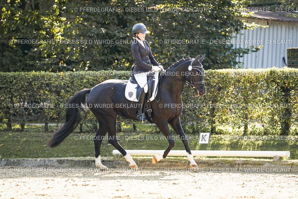 DSC06607 | Pferdegrafie