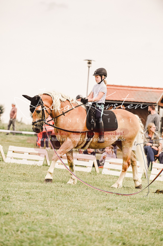 DSC_5253 | Pferde- und Turnierfotografie in Westsachsen. Pferdeportraits, Auftragszeichnungen und intuitive Kunst.