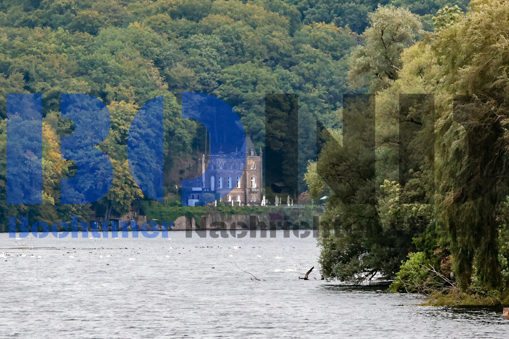 SES_RUHIGA20250918-15 | bond - Realisiert mit Pictrs.com