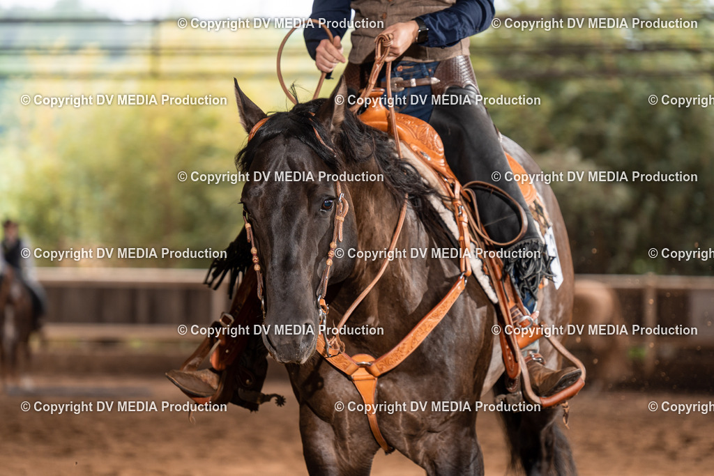 Erbach Tag 2-677 | dv-media-shop - Realisiert mit Pictrs.com