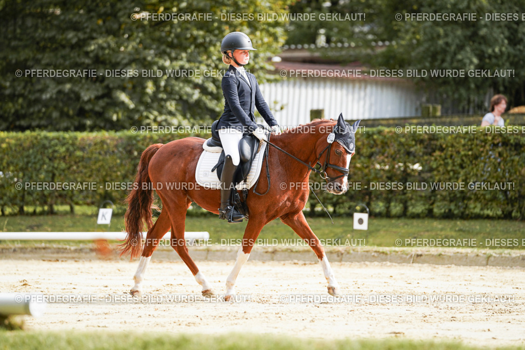 DSC03985 | Pferdegrafie