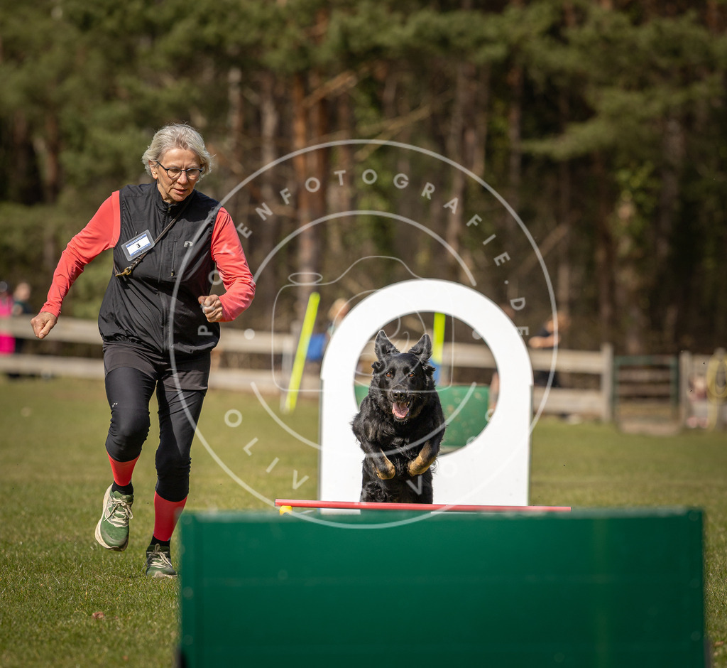Pfotenfotografie_DV3A0145 | Hundefotografie, Tierfotograf, Pfotenfotografie, Fotoshooting Hund, Hunde Portrait, Hundesport, Hundeportraits, Heideshooting, Hunde, Sportfotograf, Hundefotograf, Turnierhundsport, THS,  - Realisiert mit Pictrs.com