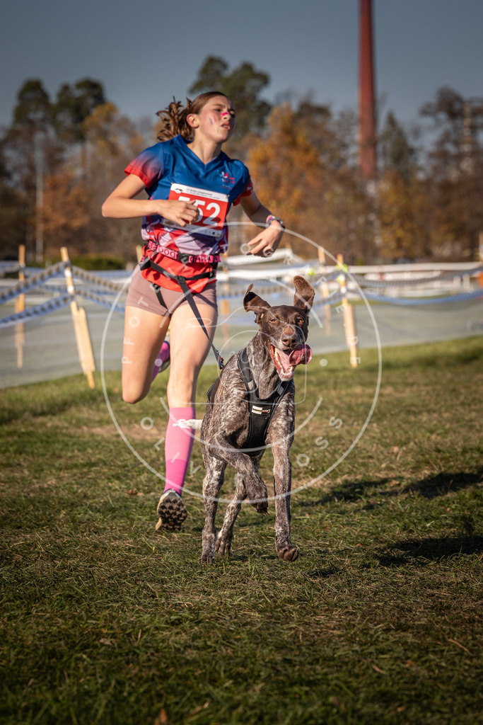 CaniXpix_0L8A7732 | Hundefotografie, Tierfotograf, Pfotenfotografie, Fotoshooting Hund, Hunde Portrait, Hundesport, Hundeportraits, Heideshooting, Hunde, Sportfotograf, Hundefotograf, Turnierhundsport, THS,  - Realisiert mit Pictrs.com