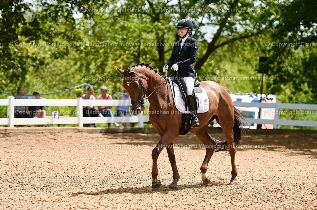 20230716_03_Dressurprfg. Kl.L - Tr._0413 | equistock